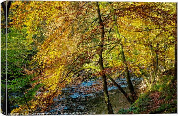 Autumn leaves Canvas Print by kenneth Dougherty