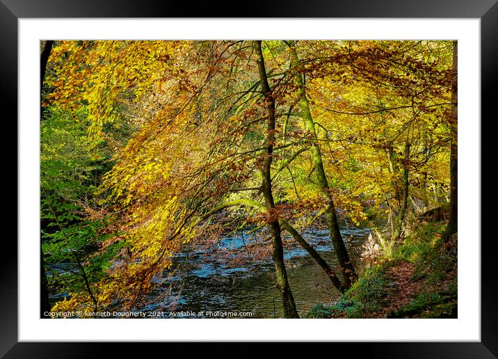 Autumn leaves Framed Mounted Print by kenneth Dougherty
