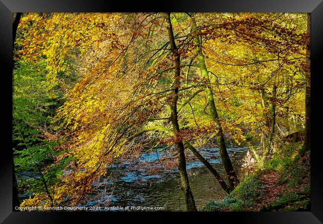 Autumn leaves Framed Print by kenneth Dougherty