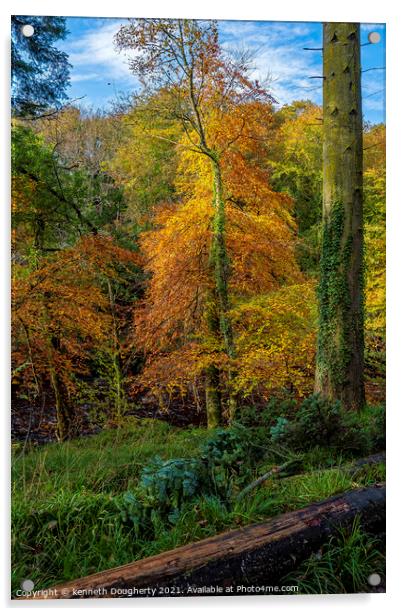Autumn trees Acrylic by kenneth Dougherty
