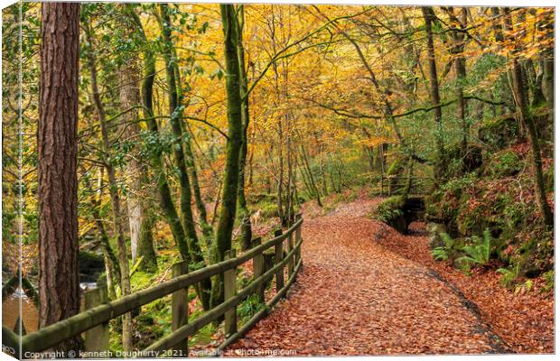 Autumn pathway Canvas Print by kenneth Dougherty