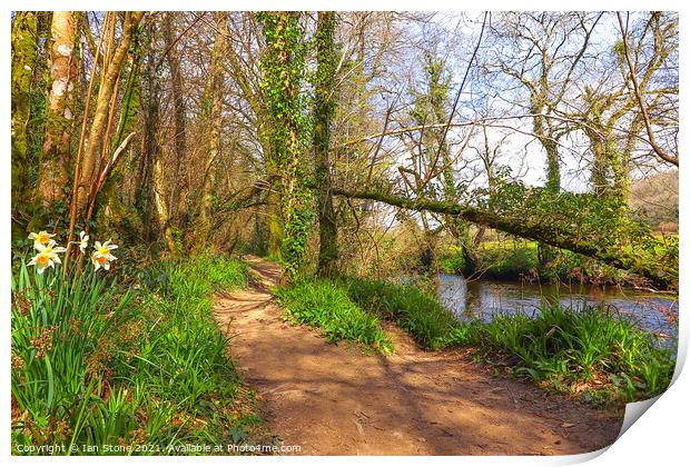 Spring walk by the river  Print by Ian Stone