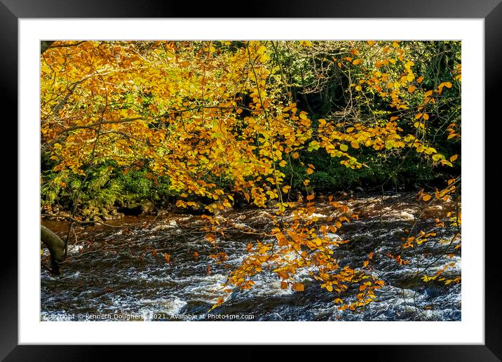 River leaves. Framed Mounted Print by kenneth Dougherty