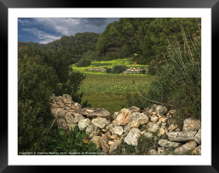 Flowering Hillside Spring Pasture Menorca Framed Mounted Print by Deanne Flouton