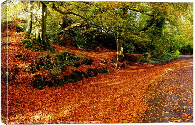 Autumn leaves Canvas Print by kenneth Dougherty