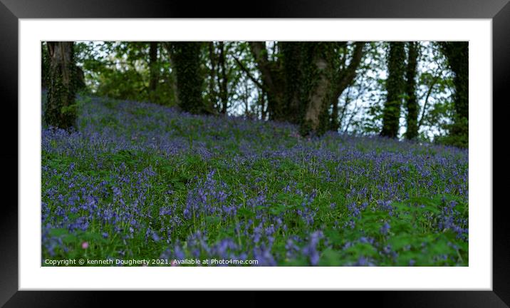 Blubells Framed Mounted Print by kenneth Dougherty