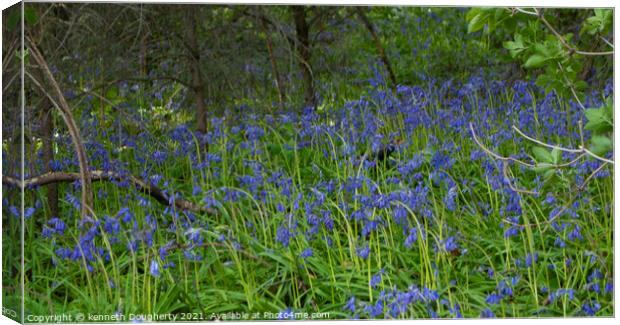 A close up of a bluebells with trees in the backgr Canvas Print by kenneth Dougherty