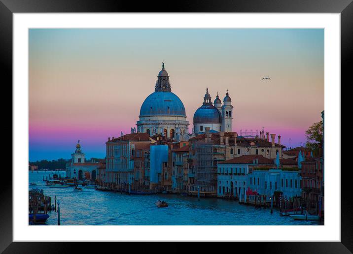 Santa Maria della Salute Cathedral – a scenic view from Academ Framed Mounted Print by Elijah Lovkoff