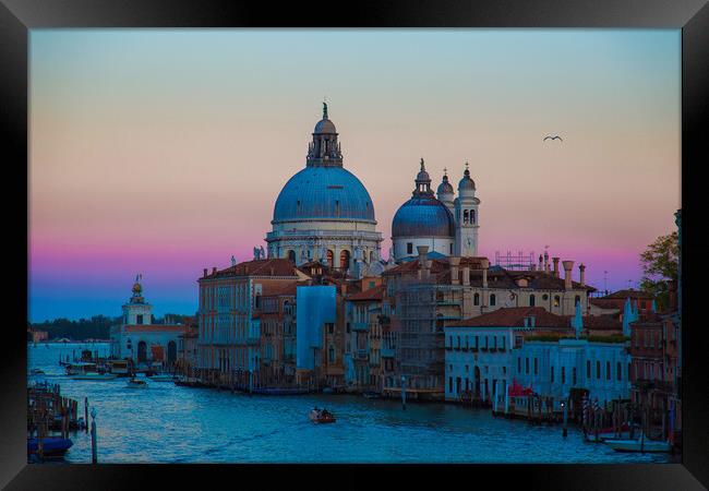 Santa Maria della Salute Cathedral – a scenic view from Academ Framed Print by Elijah Lovkoff
