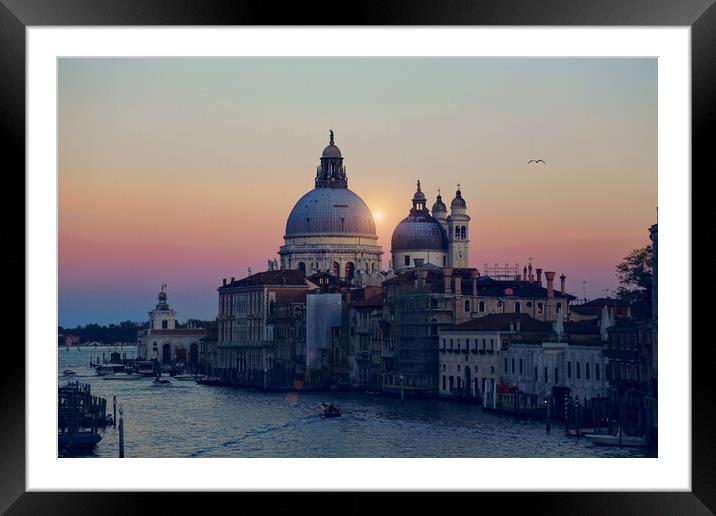 Santa Maria della Salute Cathedral - view from Academia bridge Framed Mounted Print by Elijah Lovkoff