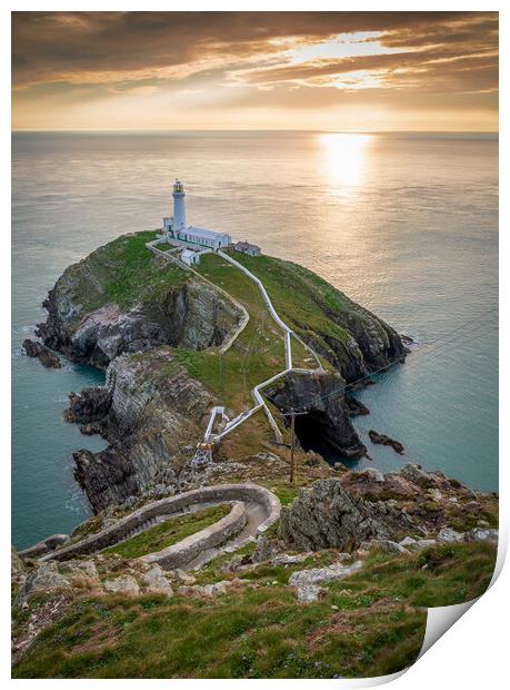 South Stack lighthouse in North Wales Print by Leighton Collins