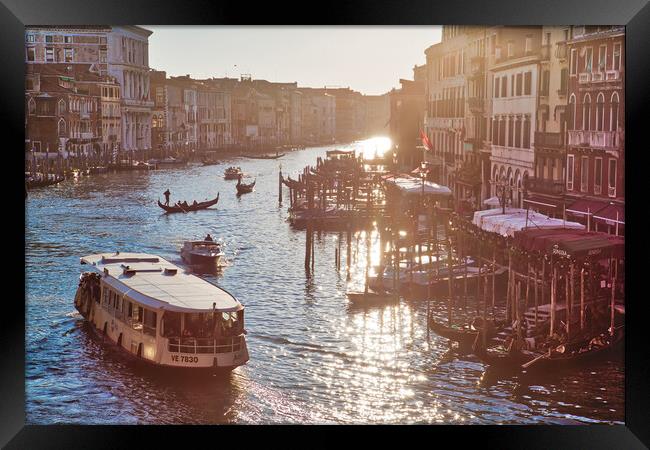Venice, Italy. Landmark Rialto Bridge, one of the most visited Venice landmark locations Framed Print by Elijah Lovkoff