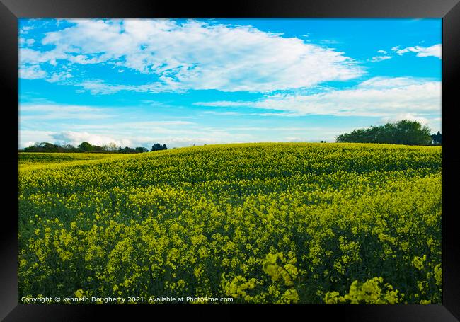 Field of Rapeseed Framed Print by kenneth Dougherty