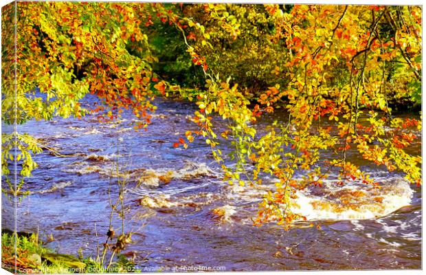 Autumn on the River Roe Canvas Print by kenneth Dougherty