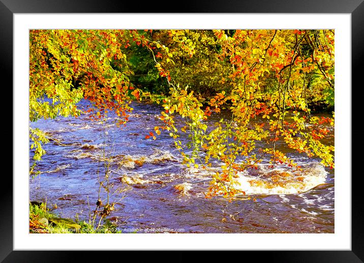 Autumn on the River Roe Framed Mounted Print by kenneth Dougherty