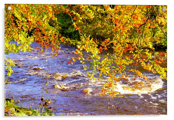 Autumn on the River Roe Acrylic by kenneth Dougherty