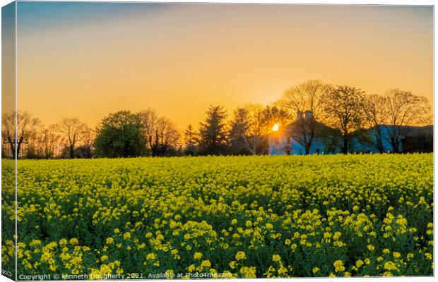 Rapeseed sunset Canvas Print by kenneth Dougherty