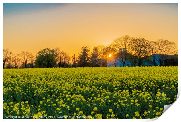 Rapeseed sunset Print by kenneth Dougherty