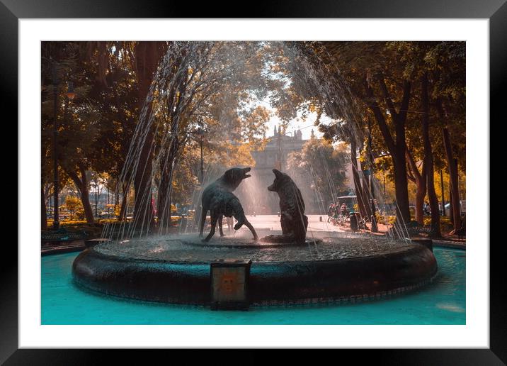 Coyoacan, Mexico City, Mexico, Drinking coyotes statue and fountain in Hidalgo Square in Coyoacan Framed Mounted Print by Elijah Lovkoff