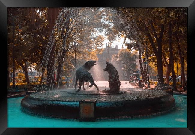 Coyoacan, Mexico City, Mexico, Drinking coyotes statue and fountain in Hidalgo Square in Coyoacan Framed Print by Elijah Lovkoff