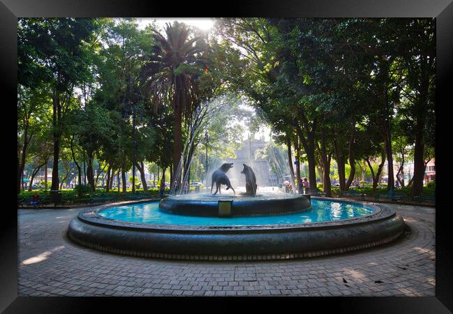 Coyoacan, Mexico City, Mexico, Drinking coyotes statue and fountain in Hidalgo Square in Coyoacan Framed Print by Elijah Lovkoff