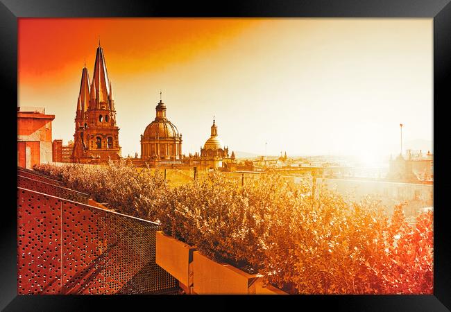 Central Guadalajara Cathedral Framed Print by Elijah Lovkoff