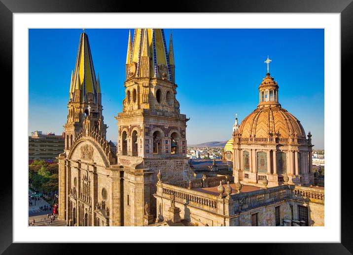 Guadalajara Central Cathedral  Framed Mounted Print by Elijah Lovkoff