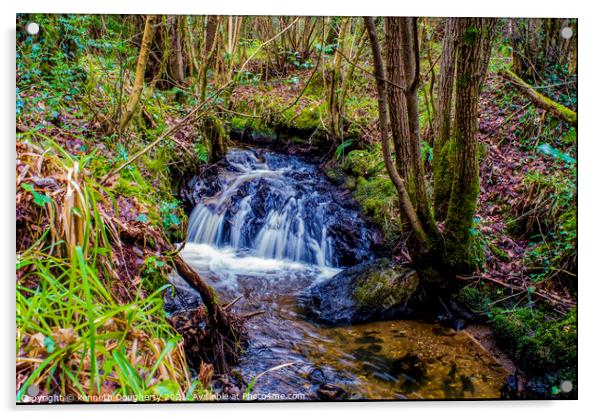 Waterfall Acrylic by kenneth Dougherty