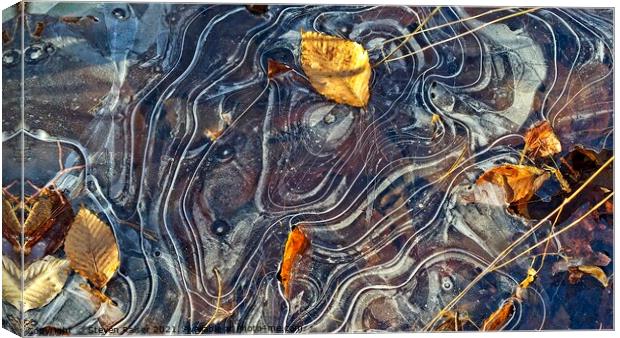 Ice Patterns, York, Maine Canvas Print by Steven Ralser