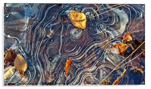 Ice Patterns, York, Maine Acrylic by Steven Ralser