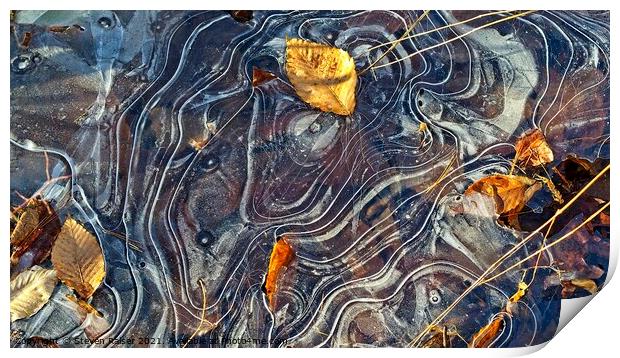 Ice Patterns, York, Maine Print by Steven Ralser