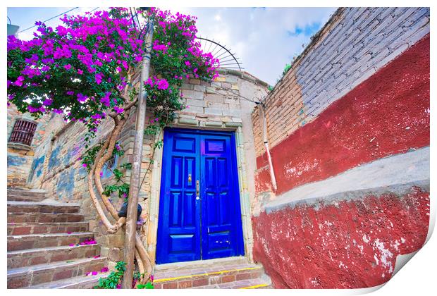 Guanajuato scenic cobbled streets and traditional colorful colonial  archit Print by Elijah Lovkoff