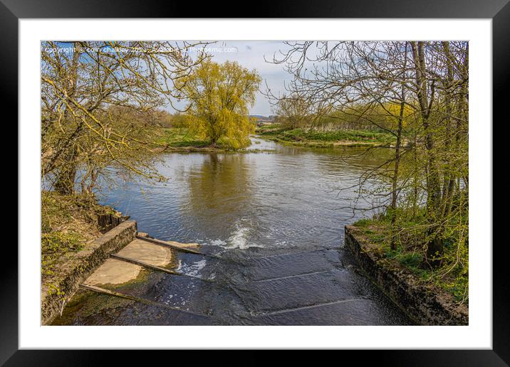River Stour Weir at Fiddleford Mill Framed Mounted Print by colin chalkley