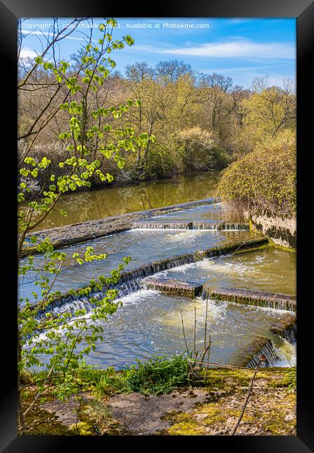 River Stour Weir at Fiddleford Mill Framed Print by colin chalkley
