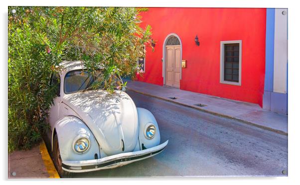 Merida, Mexico, Scenic colorful colonial Merida streets in Mexico, Yucatan Acrylic by Elijah Lovkoff