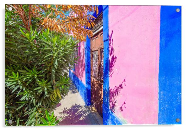 Scenic colorful colonial Merida streets in Mexico, Yucatan Acrylic by Elijah Lovkoff