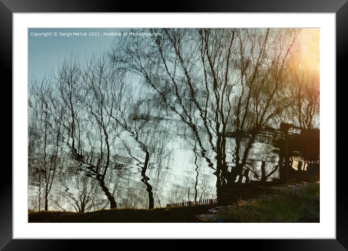 Blurry reflection of bare trees in the water at sunset. Framed Mounted Print by Sergii Petruk