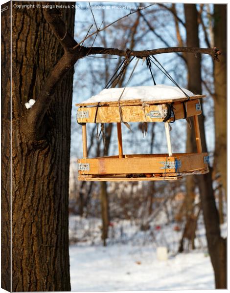 Bird feeder hanging on a tree branch in the winter forest against the backdrop of sunlight. Canvas Print by Sergii Petruk