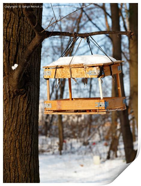 Bird feeder hanging on a tree branch in the winter forest against the backdrop of sunlight. Print by Sergii Petruk