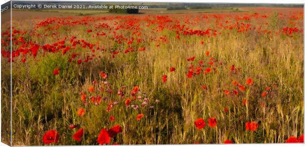  A Field of Poppies (panoramic) Canvas Print by Derek Daniel