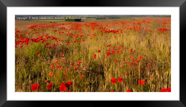  A Field of Poppies (panoramic) Framed Mounted Print by Derek Daniel
