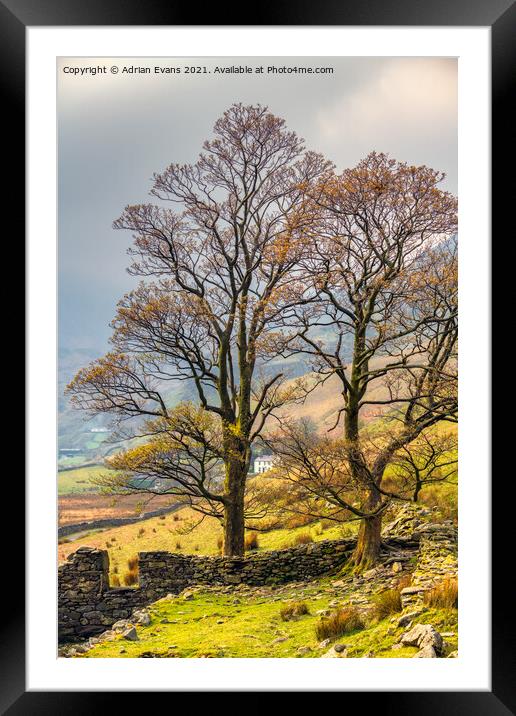 Welsh Cottage Snowdonia Wales Framed Mounted Print by Adrian Evans