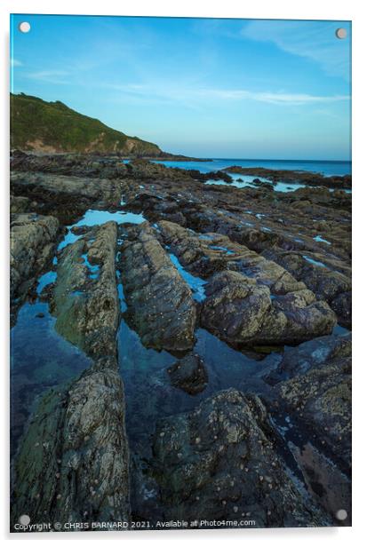Talland Bay Rocks Acrylic by CHRIS BARNARD