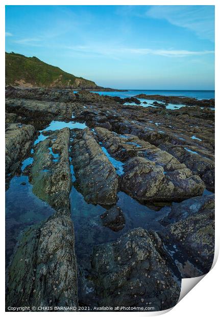Talland Bay Rocks Print by CHRIS BARNARD