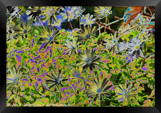 Solarized Spring Flowers. Framed Print by Mark Ward