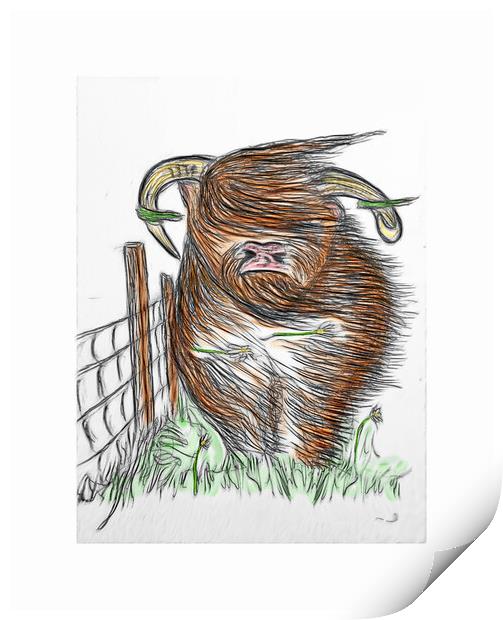 Everyday's a Coosday... Print by JC studios LRPS ARPS