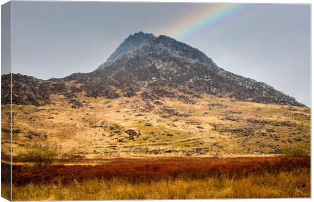 Tryfan mountain in Snowdonia Canvas Print by Leighton Collins