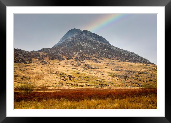 Tryfan mountain in Snowdonia Framed Mounted Print by Leighton Collins