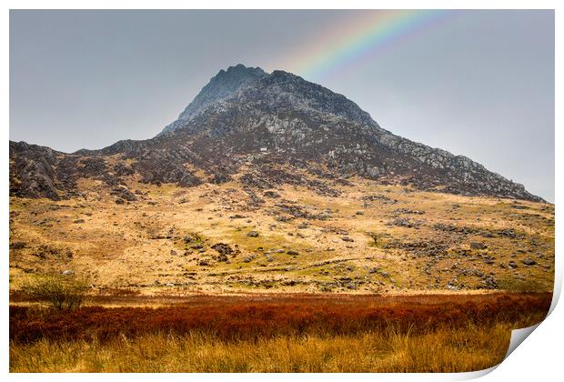 Tryfan mountain in Snowdonia Print by Leighton Collins