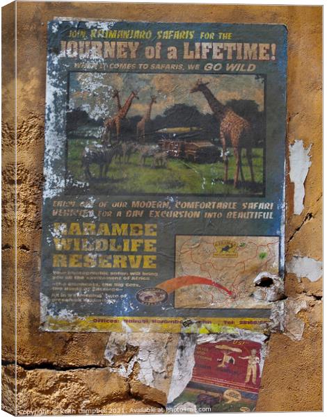 Journey Of A Lifetime! Canvas Print by Keith Campbell